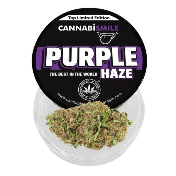Cannabis purple