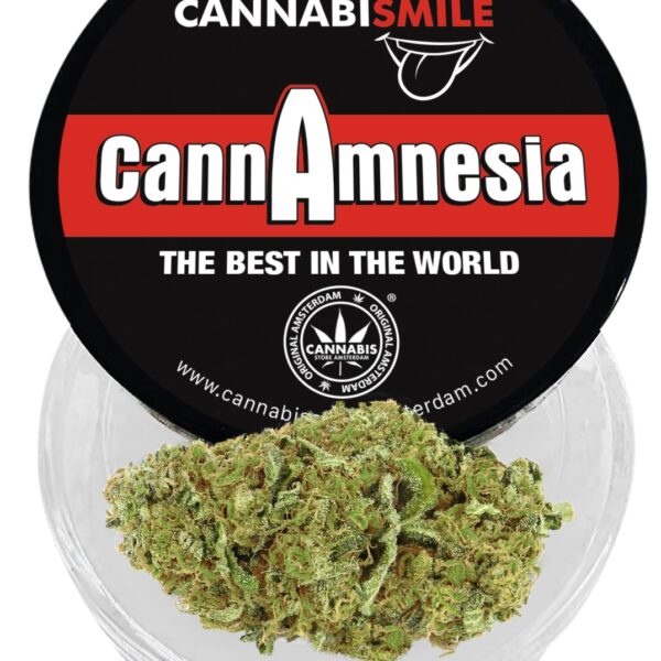 Fleur CBD indoor CannAmnesia