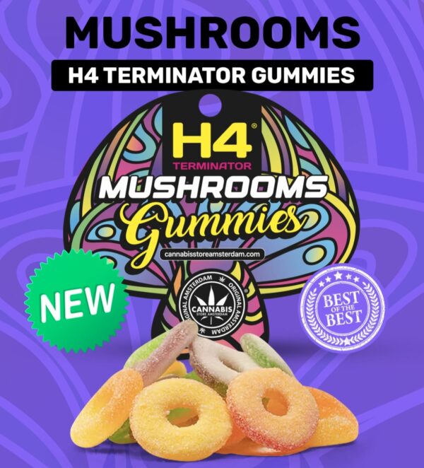 Gummies Mushromms/champignons