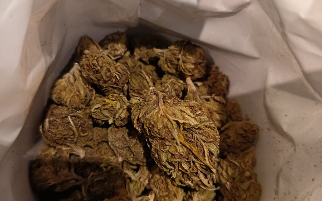 Intégrer le CBD dans votre cuisine quotidienne