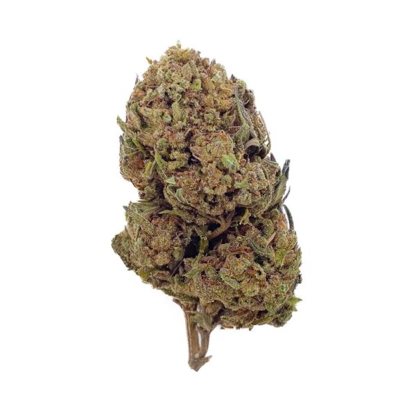 fleurs Cbd harlequin – Image 2