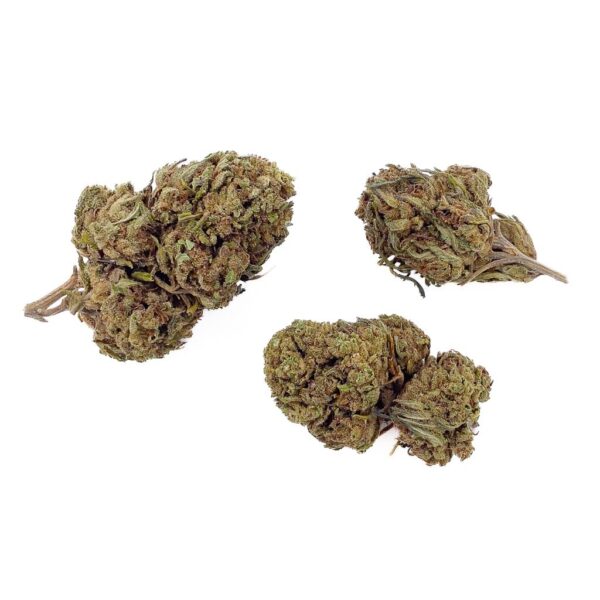 fleurs Cbd harlequin