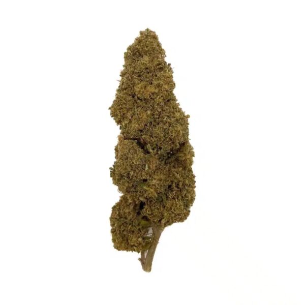 fleurs Cbd jack herer
