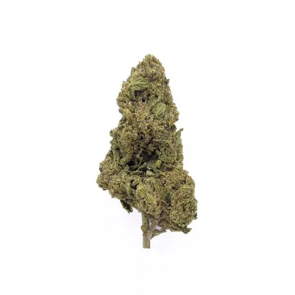 fleurs Cbd white widow