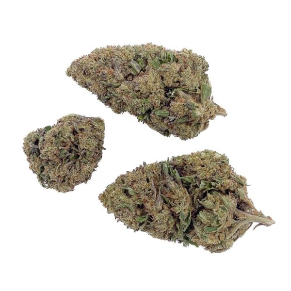 Fleurs Cbd Mango kush – Image 2