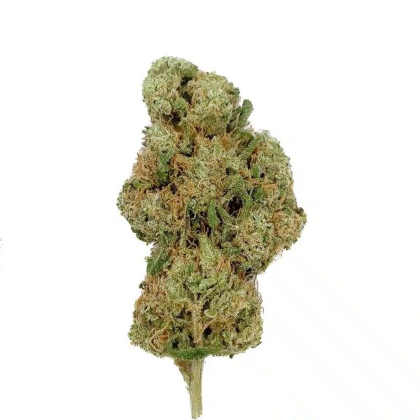 Fleurs Cbd Mango rainbow hydro