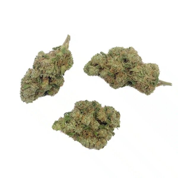 Fleurs Cbd Mango rainbow hydro – Image 2